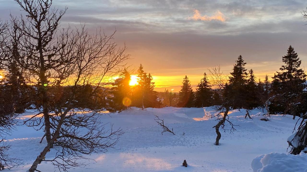 Vila Bjerkely, Sjusjoen Exteriér fotografie