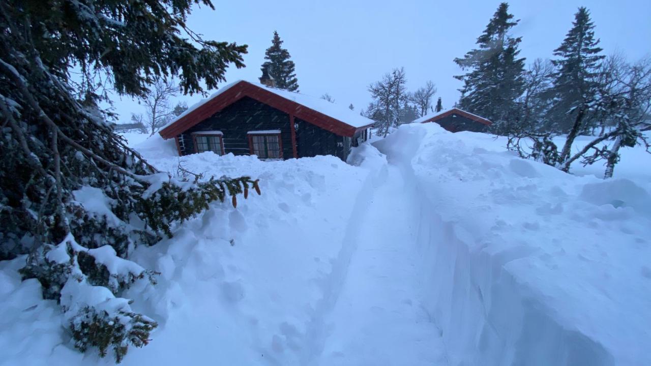Vila Bjerkely, Sjusjoen Exteriér fotografie