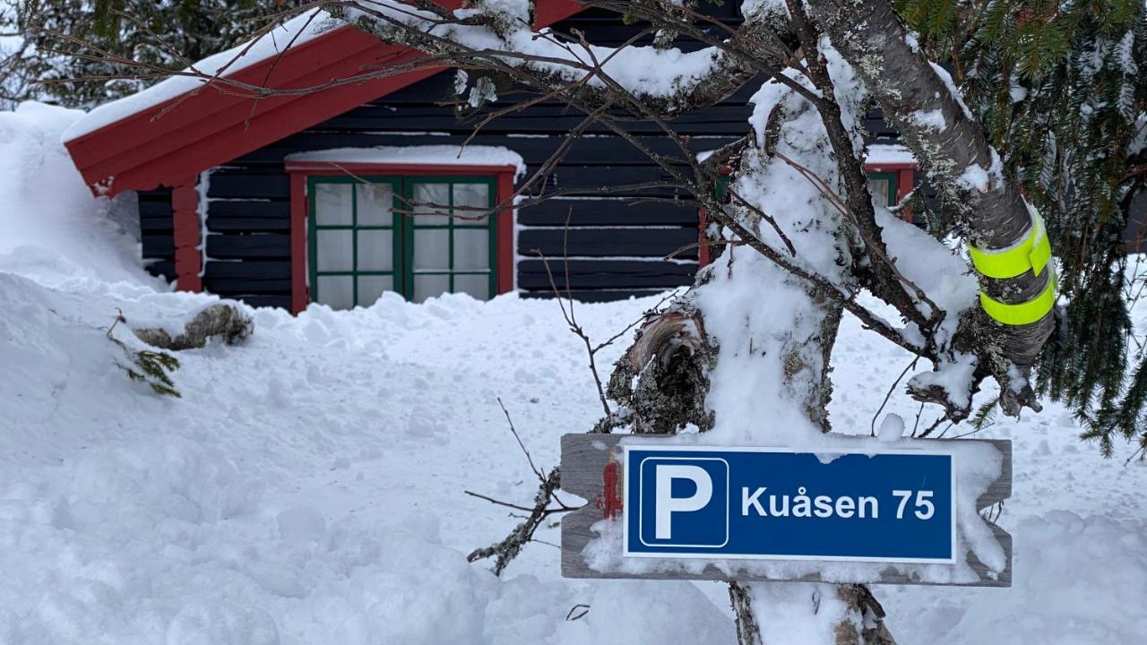 Vila Bjerkely, Sjusjoen Exteriér fotografie