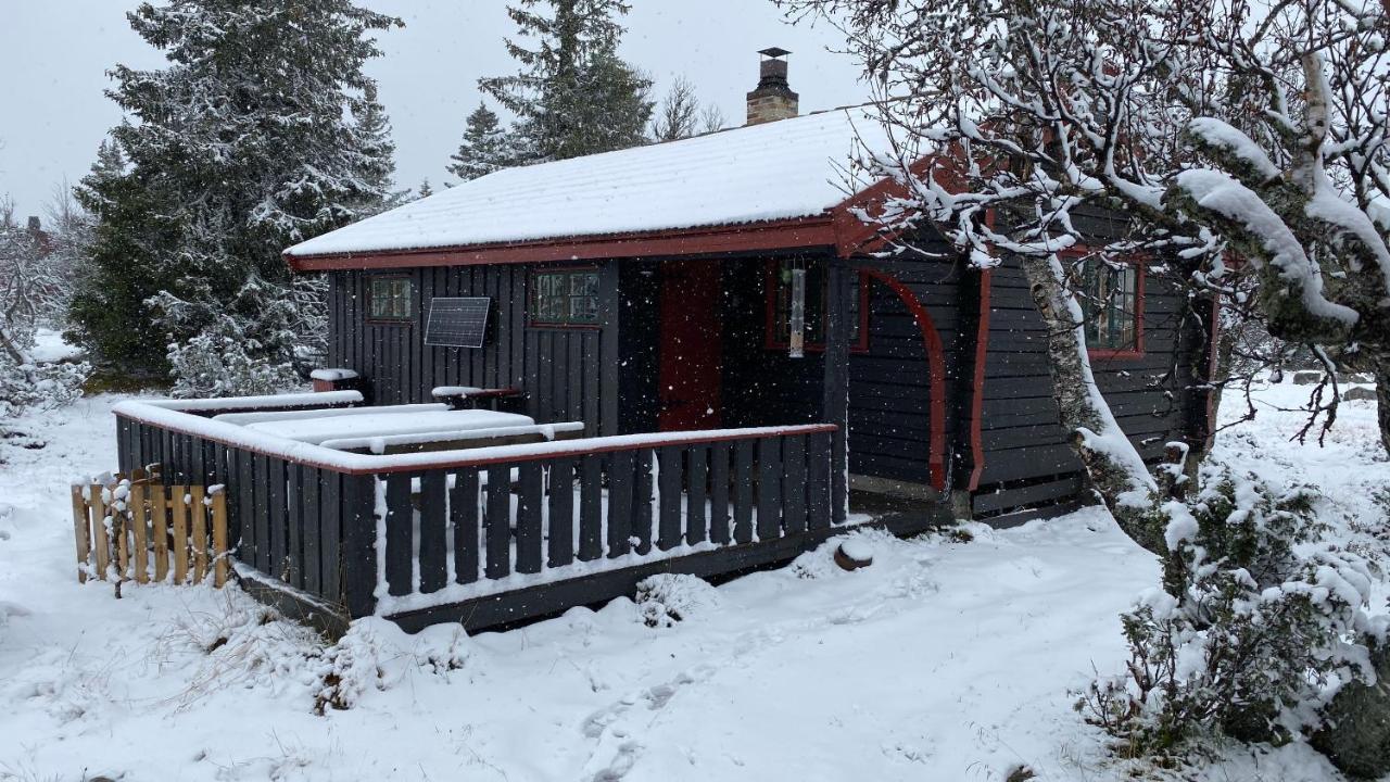 Vila Bjerkely, Sjusjoen Exteriér fotografie