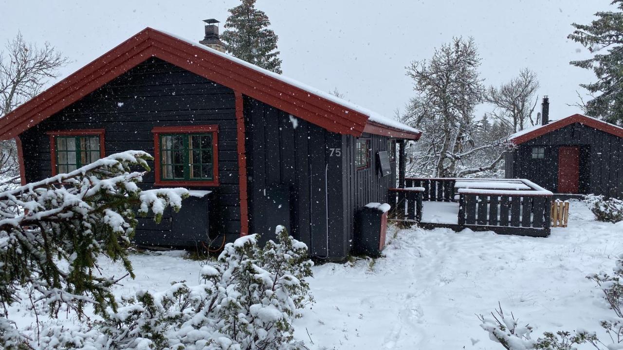 Vila Bjerkely, Sjusjoen Exteriér fotografie